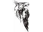  Eagles Unique 0 0 8 Decal