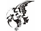  Eagles Unique 0 1 1 Decal