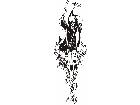  Eagles Unique 0 1 4 Decal