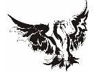  Eagles Unique 0 1 8 Decal