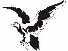  Eagles Unique 0 3 2 Decal