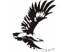  Eagles Unique 0 3 4 Decal