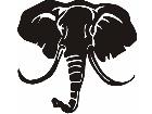  Elephant Head Decal