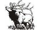  Elk 2 Decal