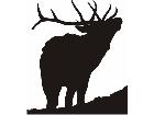  Elk 3 Decal