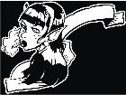  Fairy Smoker Decal