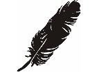  Feather C U 1 Decal