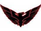  Firebird Custom G D 1 Decal