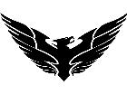  Firebird Custom Decal