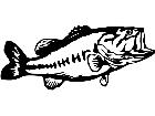  Fish Bass 3 Decal