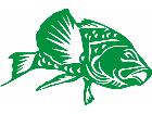  Fish Bass 4 Decal