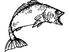  Fish Bass 6 Decal