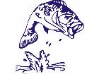  Fish Bass Jumping Out Of Water Decal