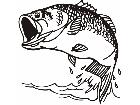  Fish Bass Splashing Out Decal
