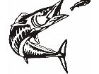  Fish Eating Fish Decal