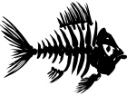  Fish Skeleton Drawn 2 Decal
