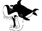  Fish Shark D H P A 1 Decal