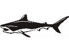  Fish Shark P A 1 Decal