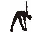  Fitness Silhouettes 0 6 Decal