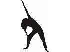  Fitness Silhouettes 3 4 Decal