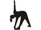  Fitness Silhouettes 3 8 Decal