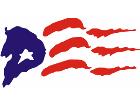  Flag Rough 2 C L 1 Decal