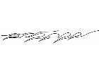  Flames 1 2 2 4 1 V A 1 Decal