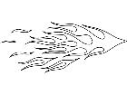  Flames 1 8 2 4 1 V A 1 Decal