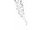  Flames 2 7 2 4 2 V A 1 Decal