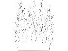  Flames 2 9 2 4 2 V A 1 Decal