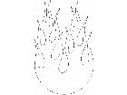  Flames 3 8 2 4 2 V A 1 Decal