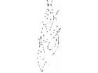  Flames 3 9 2 4 2 V A 1 Decal