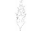  Flames 4 0 2 4 2 V A 1 Decal