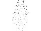  Flames 4 2 2 4 2 V A 1 Decal