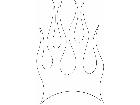  Flames 4 4 2 4 2 V A 1 Decal