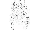  Flames 4 9 2 4 2 V A 1 Decal
