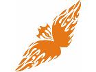  Flames Tribal Style 0 4 1 Decal