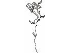  Flower Petals M M 1 Decal