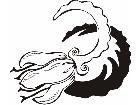  Flowers Fantastic 0 2 1 Decal