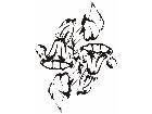  Flowers Tattoo 2 0 3 9 Decal