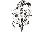  Flowers Tattoo 2 0 4 5 Decal