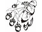  Flowers Tattoo 2 0 5 0 Decal