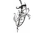  Flowers Tattoo 0 0 7 Decal
