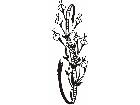  Flowers Tattoo 0 1 3 Decal