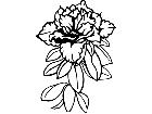  Flowers Azalia 1 5 9 V A 1 Decal
