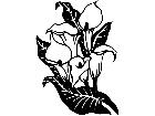  Flowers Cala Lily 1 5 5 V A 1 Decal