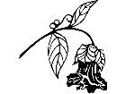  Flowers Cup And Saucer Vine 1 5 6 V A 1 Decal