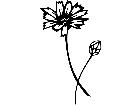  Flowers Cupids Dart 1 5 6 V A 1 Decal