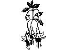 Flowers Fushia 1 5 5 V A 1 Decal