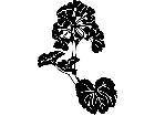  Flowers Geranium 1 5 5 V A 1 Decal